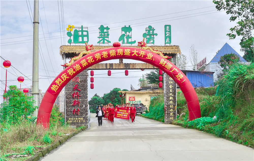 油菜花旁老柴房