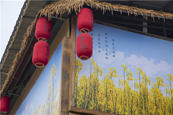 油菜花旁老柴房