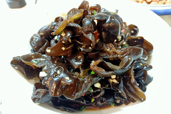 培养健康饮食习惯 为美丽明天创造幸福