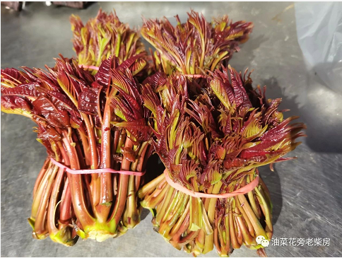 特色湘菜加盟经营文化的历史融