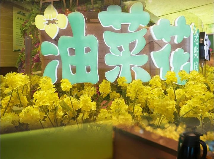 油菜花旁老柴房